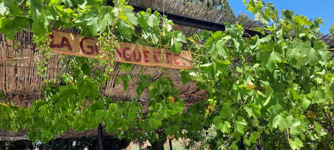Fenetre Sur Les Alpilles Bed & Breakfast แซ็ง-มาร์ตอง-เดอ-ครูว์ ภายนอก รูปภาพ
